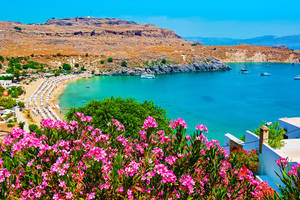 Rhodes Lindos Bay Flowers Wallpaper