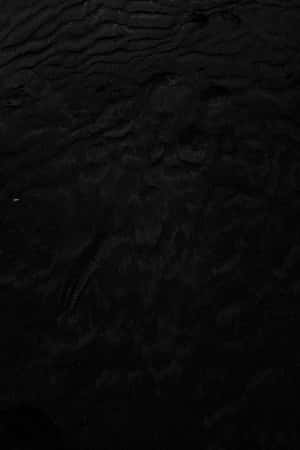 Rich, Genuine Black Leather Wallpaper