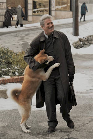 Richard Gere Hachiko A Dog's Tale Wallpaper