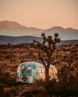 Ride Into Adventure In A Vans Van Wallpaper