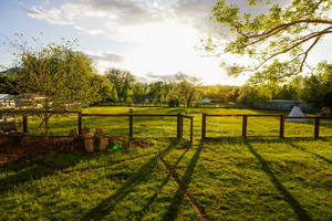 Ridge Otago Farm With Open Fence Wallpaper