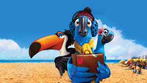 Rio 2 Characters At The Beach Wallpaper