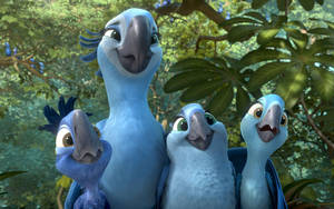 Rio 2 Jewel And Kids Wallpaper