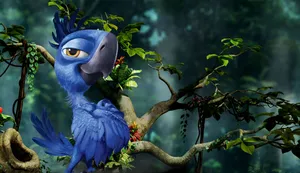 Rio Tiago On A Tree Wallpaper