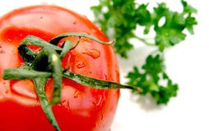 Ripe Red Tomato Macro Shot Wallpaper