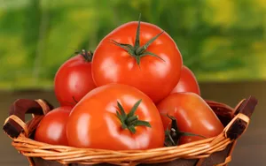 Ripe Tomato Fruits On Basket Wallpaper