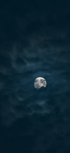 Rise Above And Let The Beauty Of The Moon Night Fill Your Heart. Wallpaper