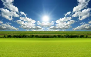 Rising Sun On Green Field Wallpaper