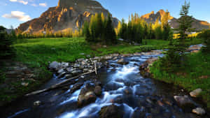 River Green Meadows Nature Photography Wallpaper