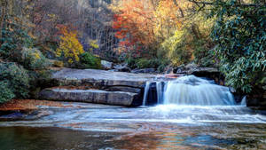 River In South Carolina Wallpaper