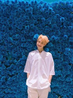 Rm Bts Love Yourself Her Wallpaper