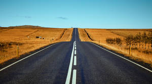 Road In Prairie Field Wallpaper