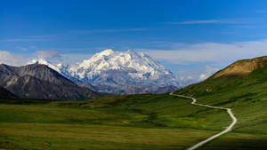 Road Leading To Denali Wallpaper