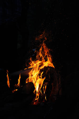 Roaring Bonfire In The Night Wallpaper