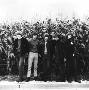 Rock Band Legend The Byrds Wallpaper