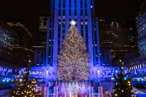 Rockefeller Center Blue Lights Wallpaper