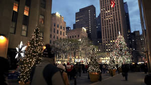 Rockefeller Center Multiple Christmas Trees Wallpaper