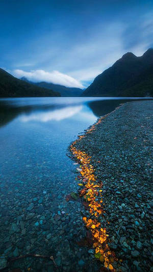 Rocky Lake Shore Portrait Wallpaper