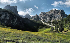 Rocky Mountain Behind A Field By The Forest Wallpaper