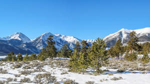 Rocky Mountain National Park During Winter Wallpaper