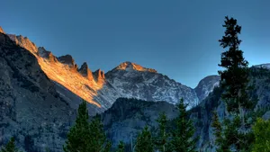 Rocky Mountain Towering Over The Woods Wallpaper