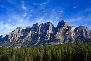 Rocky Mountain Towers Over The Forest Wallpaper