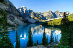 Rocky Mountains Clear Water Fine Trees Wallpaper