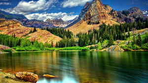 Rocky Mountains Landscape Nature Forest Wallpaper