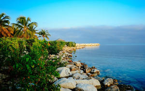 Rocky Shore In Montego Bay Wallpaper