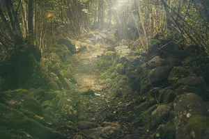 Rocky Trail In The Woods Wallpaper
