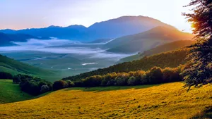 Rolling Hills Natural Background Wallpaper