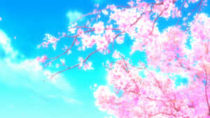 Romantic Anime Scenery With Cherry Blossoms Wallpaper