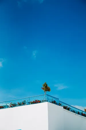 Rooftop With Plants In Tunisia Wallpaper
