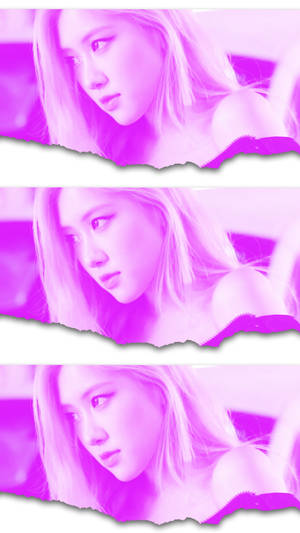 Rose Blackpink Pink Filter Collage Wallpaper