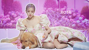 Rose Blackpink With Golden Retriever Wallpaper