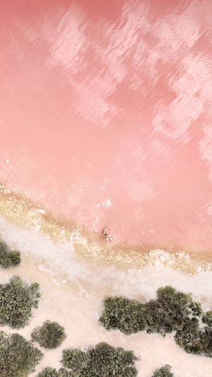 Rose Gold Ipad Woman On Beach Wallpaper