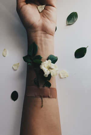 Roses In Bloom Wallpaper