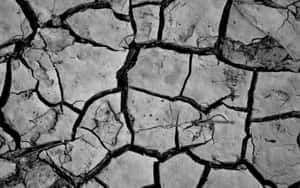 Rough Texture Grey Cracked Ground Wallpaper