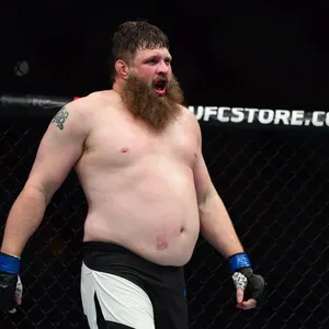 Roy Nelson Inside Octagon Wallpaper
