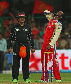 Royal Challengers Bangalore Chris Gayle Wallpaper