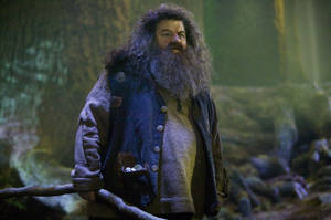 Rubeus Hagrid Harry Potter Film Wallpaper