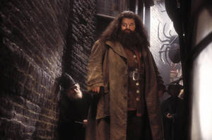 Rubeus Hagrid Serious Look Wallpaper