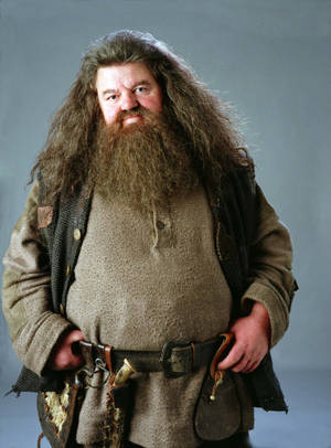 Rubeus Hagrid Simple Portrait Wallpaper