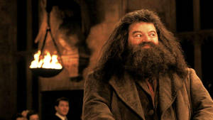 Rubeus Hagrid Smile Wallpaper