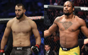 Ryan Spann And Dominick Reyes Wallpaper