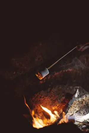 S'mores Marshmallow Campfire Wallpaper