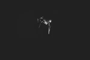 Sad Boi Little Light Face Wallpaper