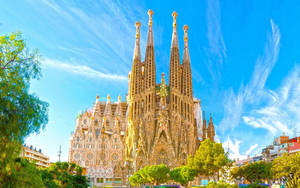 Sagrada Familia With Christmas Tree Wallpaper