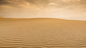 Sahara Desert Sand Horizon Wallpaper