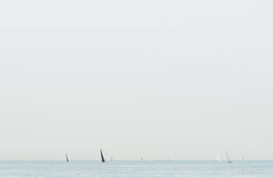 Sailing Different Sailboats Wallpaper